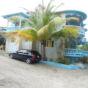 cotton-tree-place-hotel.hotelsmontegobay.org/