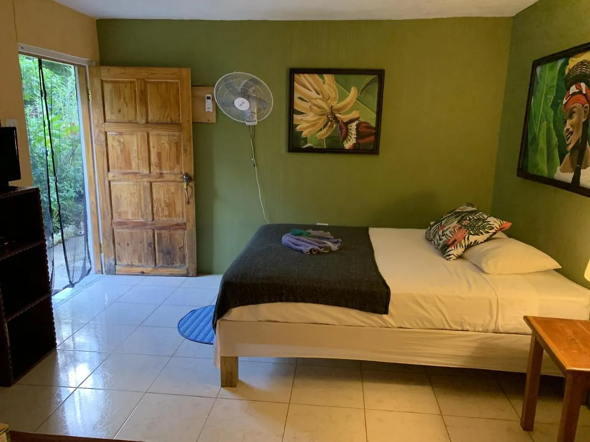 Can Jam Retreat Negril Jamaica