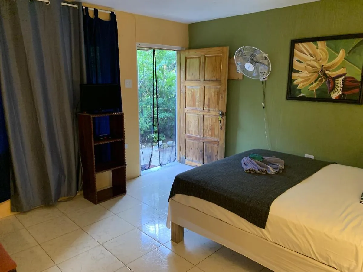 Can Jam Retreat Negril