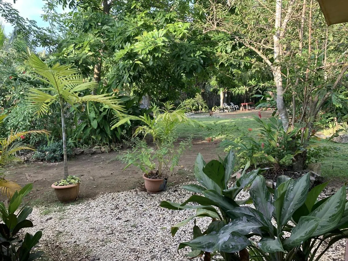 Bed & Breakfast Can Jam Retreat Negril