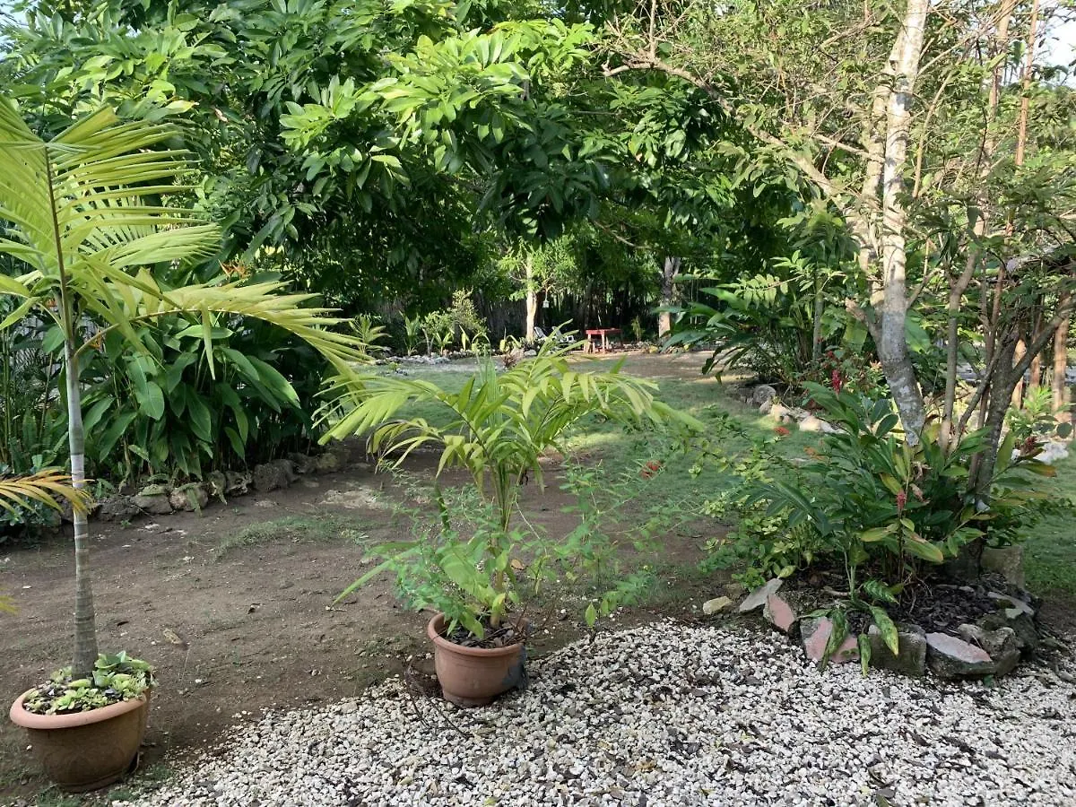 Can Jam Retreat Negril Jamaica