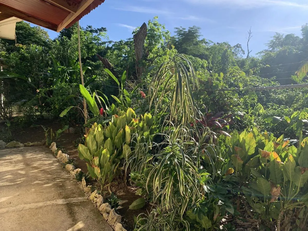 Bed & Breakfast Can Jam Retreat Negril