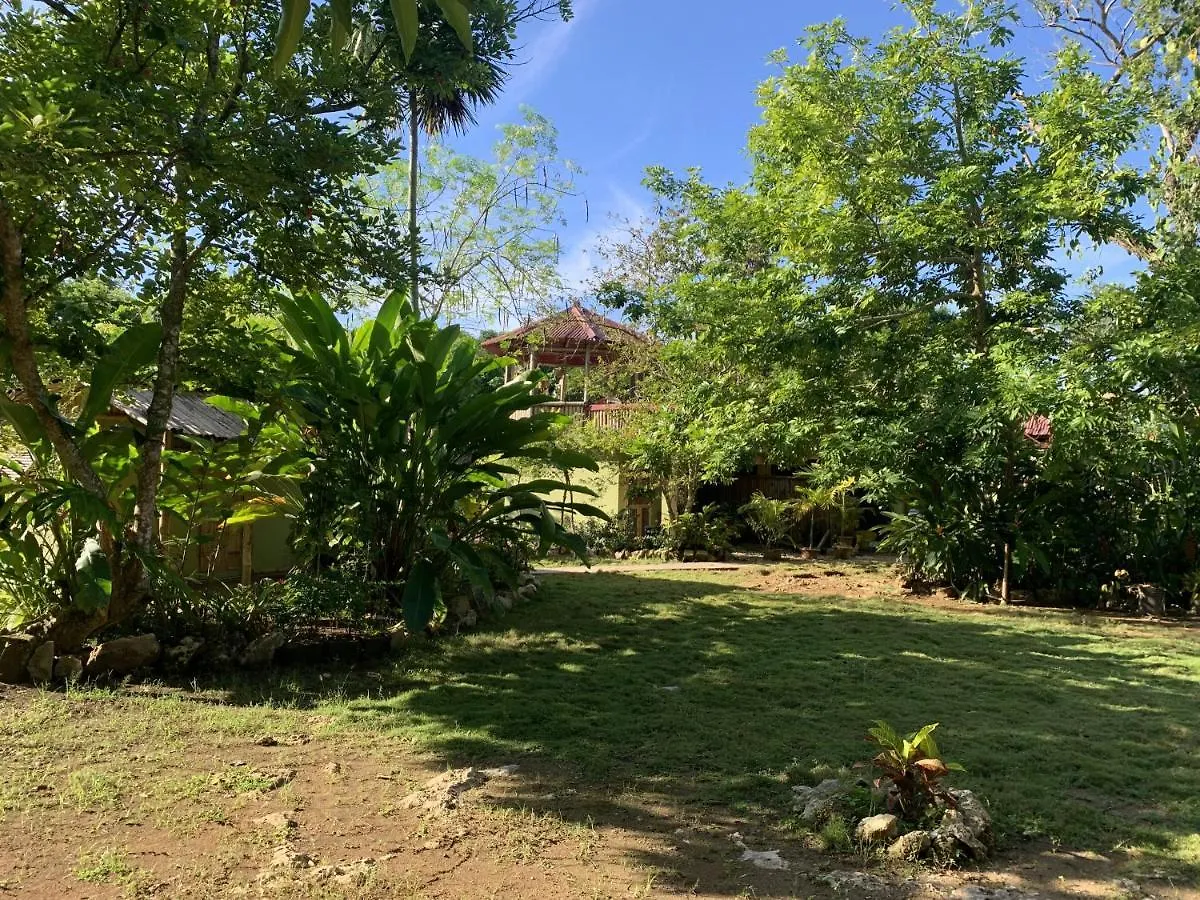 Can Jam Retreat Negril