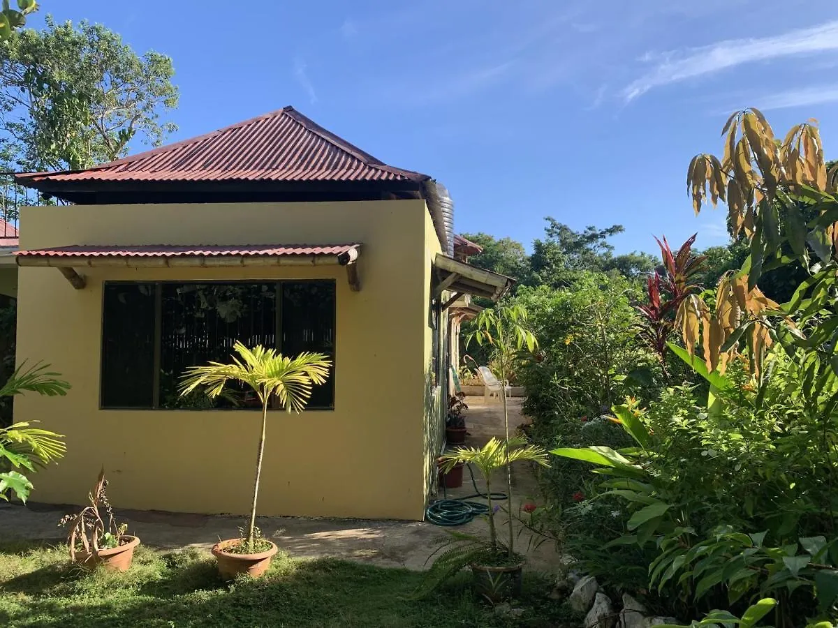 Can Jam Retreat Negril 0*,